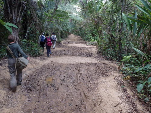 The Trail (well used).